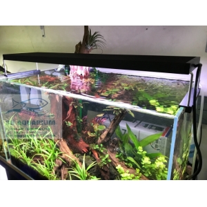 ĐÈN CHIHIROS WRGB2 90CM