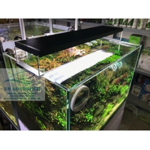 ĐÈN CHIHIROS WRGB2 90CM