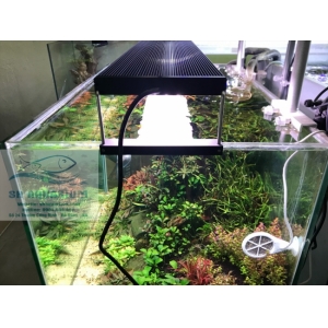 ĐÈN CHIHIROS WRGB2 90CM