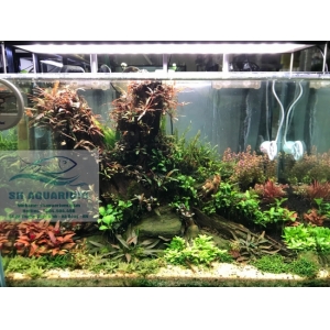 ĐÈN CHIHIROS WRGB2 90CM
