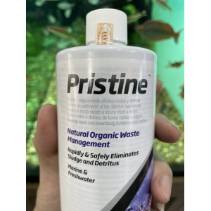Vi sinh Seachem Pristine 250ml
