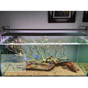 Đèn Led Week Phoenix WRGB 90Cm