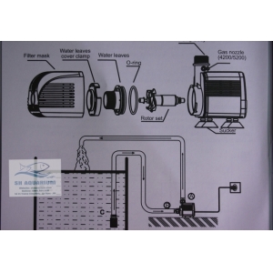 Máy Bơm Periha PD 4200