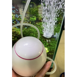 Máy sủi Oxy Dophin AP1502