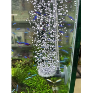 Máy sủi Oxy Dophin AP1502