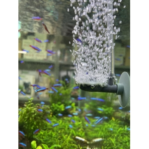 Máy sủi Oxy Dophin AP1502