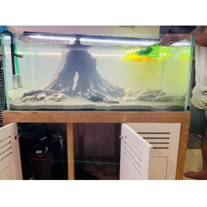 Phân nền Ever Green (Bao 5kg)
