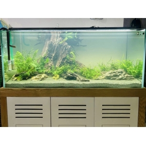 Phân nền Ever Green (Bao 5kg)