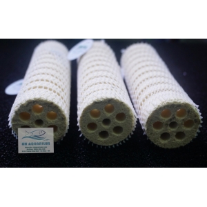 Sứ Xoắn Mountain Tree Lotus  Bacteria House
