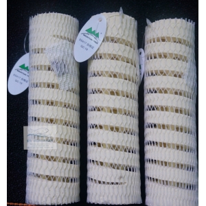 Sứ Xoắn Mountain Tree Lotus  Bacteria House