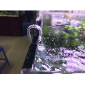 Đầu Sủi Oxy Neo Size M Special