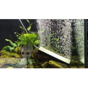 THANH SỦI TRẮNG MỊN CRAB 30CM