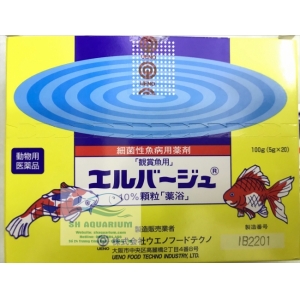 Thuốc Tetra nhật vàng