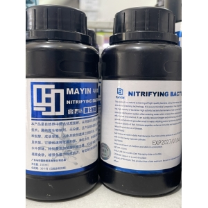 Vi sinh làm trong nước, khử tanh hôi Mayin Nitrifying Bacteria 500ml