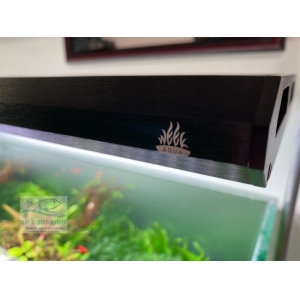 Đèn Week P1200 Pro