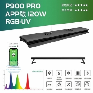 Đèn Week P1200 Pro
