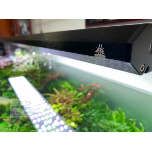 ĐÈN WEEK P900 PRO