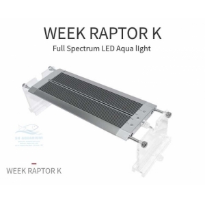 ĐÈN LED WEEK RAPTOR RGB D90CM