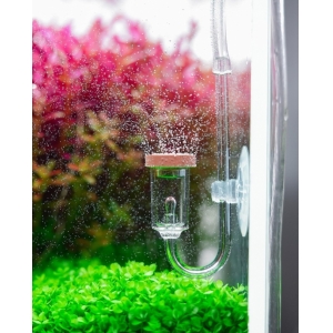 ĐẦU SỦI CO2 CHIHIROS SIZE S