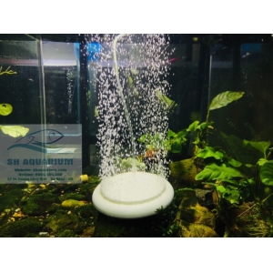 Đĩa sủi siêu mịn HT-100