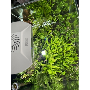 Đèn Led WRGB Aqua Blue S6