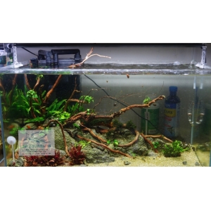 Đèn Chihiros A ver2 60cm