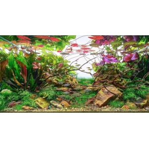 Đèn Chihiros WRGB Pro 120cm