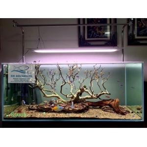 Đèn Led Cao cấp Flat One+ 60