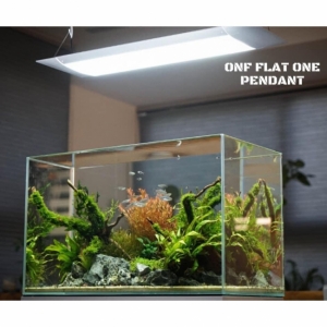 Đèn Led Cao cấp Flat One+ 60