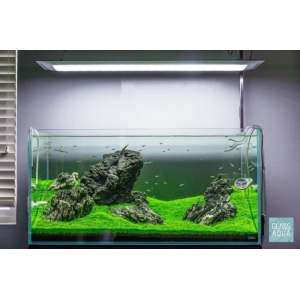 Đèn Led Cao cấp Flat One+ 60