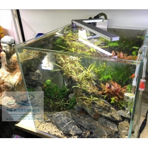 Đèn Led Cao Cấp Flexi mini V2