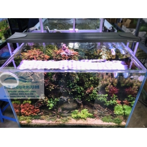 Đèn Led RGB Nala 60cm