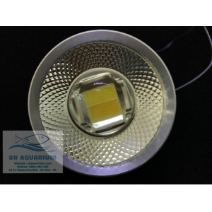 Đèn Led Trứng Bạc 50w LSH50
