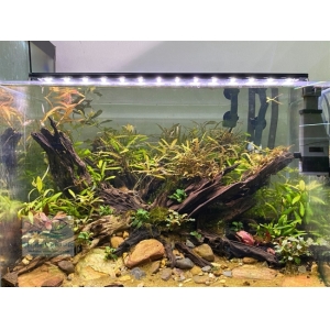 Đèn Led 5 Hàng Quanlong Siêu Sáng Đổi Màu 80cm