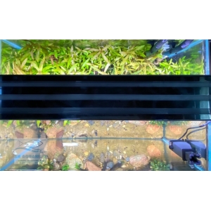 Đèn Led 5 Hàng Quanlong Siêu Sáng Đổi Màu 80cm
