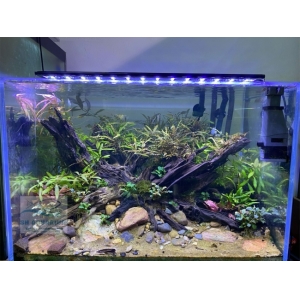Đèn Led 5 Hàng Quanlong Siêu Sáng Đổi Màu 80cm