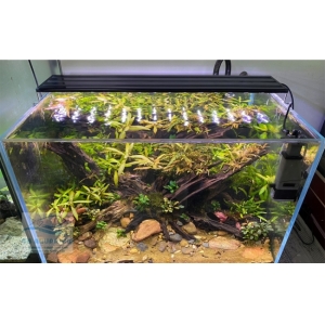 Đèn Led 5 Hàng Quanlong Siêu Sáng Đổi Màu 80cm
