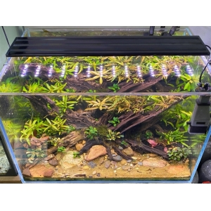 Đèn Led 5 Hàng Quanlong Siêu Sáng Đổi Màu 80cm