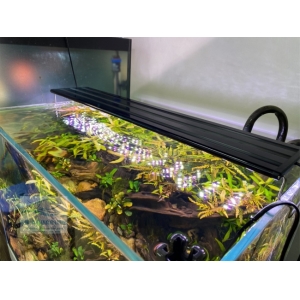 Đèn Led 5 Hàng Quanlong Siêu Sáng Đổi Màu 80cm