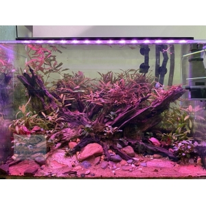 Đèn Led 5 Hàng Quanlong Siêu Sáng Đổi Màu 80cm