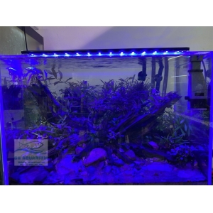 Đèn Led 5 Hàng Quanlong Siêu Sáng Đổi Màu 80cm