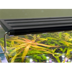 Đèn Led 5 Hàng Quanlong Siêu Sáng Đổi Màu 80cm