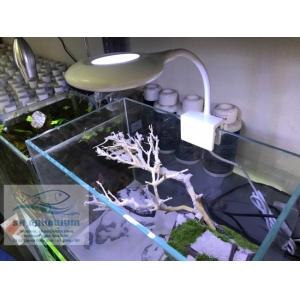 Đèn Led Sobo cho hồ cá, hồ thuỷ sinh