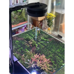 Đèn Led rọi WRGB+UV Kaokui-07 60W