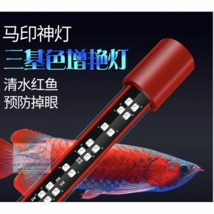 Đèn led cá rồng MAYIN Super Colour thế hệ 3 chuyên dụng cho Huyết long 92cm