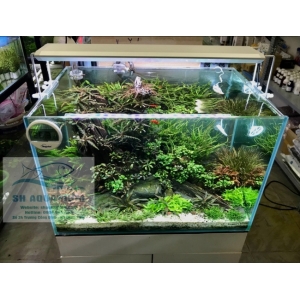 ĐÈN RGB AQUABLUE DEE-868 DÀNH CHO BỂ 120CM- 140CM