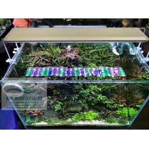 ĐÈN RGB AQUABLUE DEE-838 DÀNH CHO BỂ 60CM- 80CM