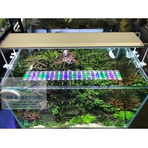 Đèn RGB AquaBlue DEE-818 dành cho bể 45cm- 55cm