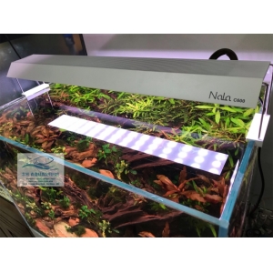 Đèn RGB Nala C400 thế hệ mới