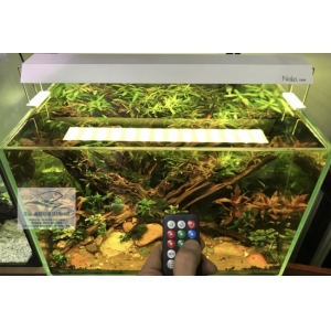 Đèn RGB Nala C400 thế hệ mới